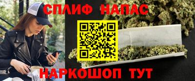 spice Гай