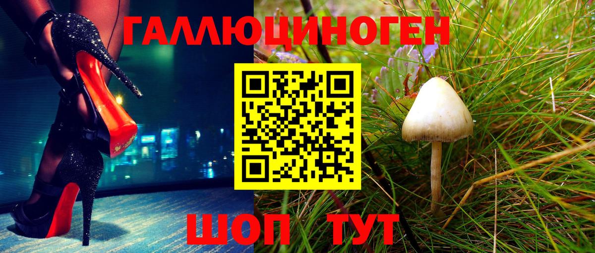 Псилоцибиновые грибы мицелий  Вход с VPN  Кисловодск 