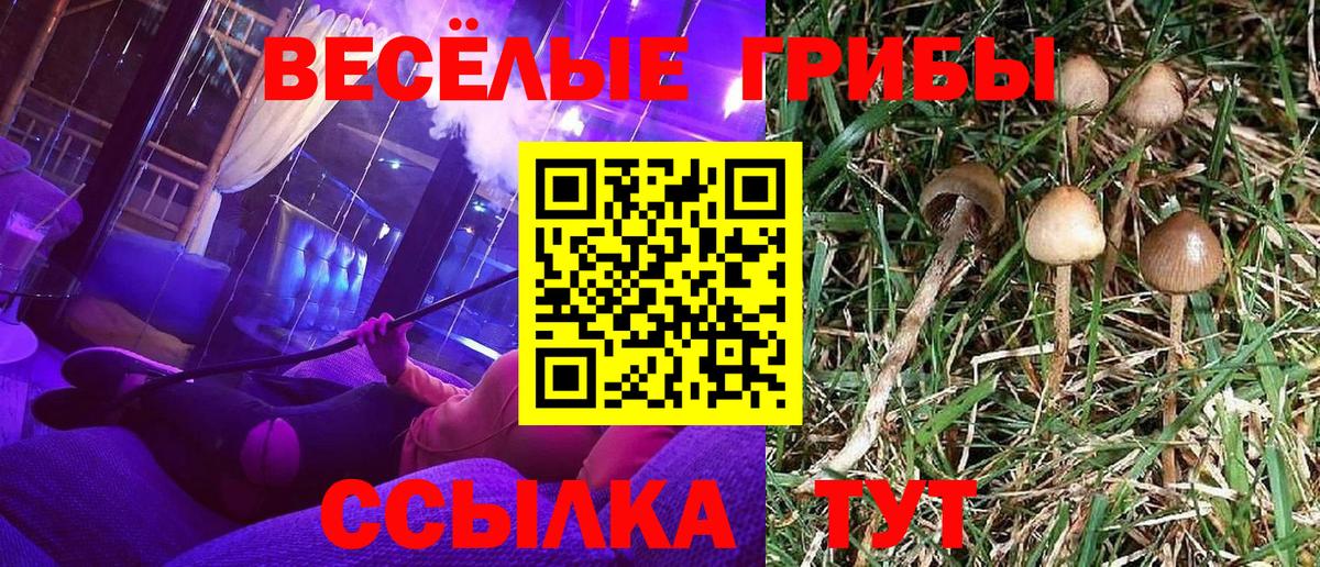 Амфетамин Кисловодск