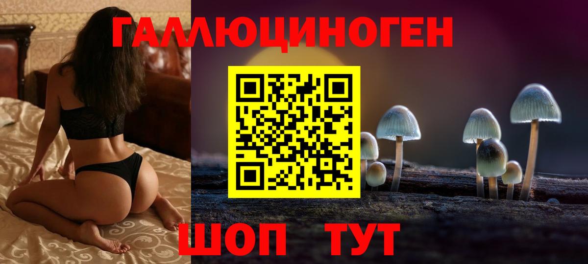 Галлюциногенные грибы Psilocybe Кисловодск