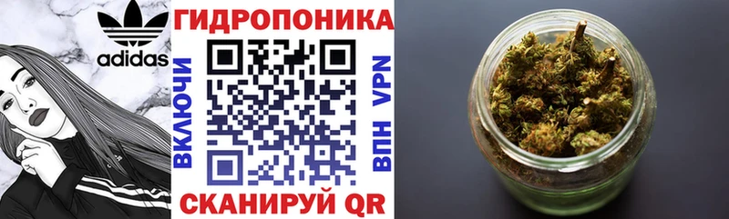 Каннабис OG Kush  ссылка на мегу ссылки  Кисловодск 