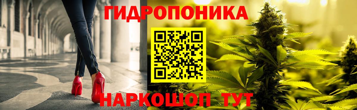 Кисловодск  Каннабис OG Kush  Вход с VPN  Конопля SATIVA & INDICA  Каннабис Ganja  Канабис сатива 